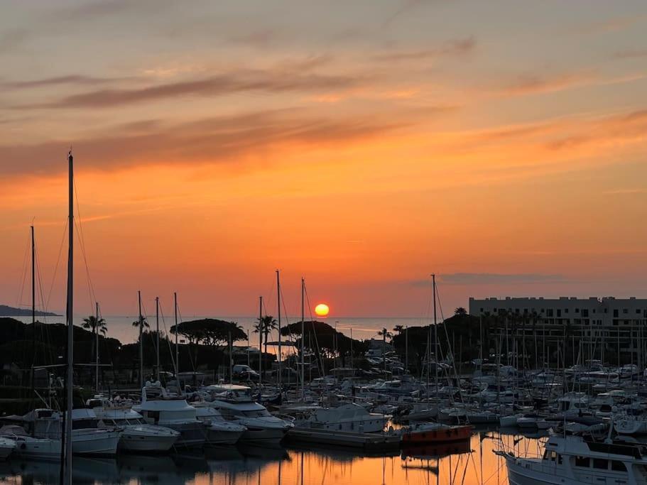 L'Atelier Marin Sur Le Port Des Marines Lägenhet Cogolin Exteriör bild